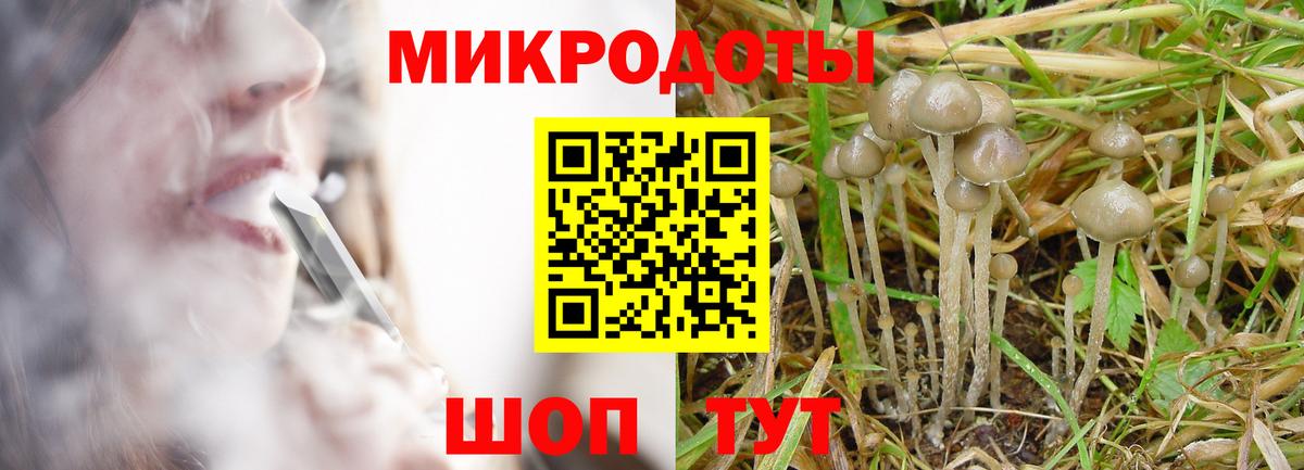 Псилоцибиновые грибы Cubensis  Вход с VPN  Нижнекамск 