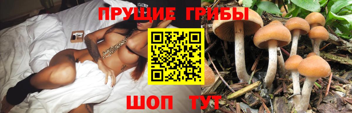 Галлюциногенные грибы Magic Shrooms Нижнекамск